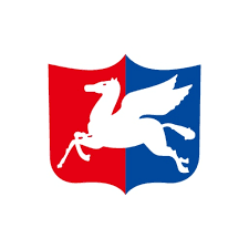 DongYoung Shipping logo — maritime shipping carrier